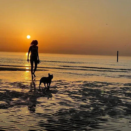 公寓 By Juliz - Location At The & In Center! *