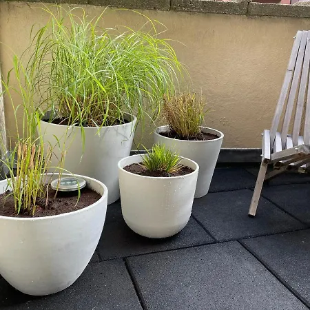 By Juliz - Location At The & In Center! Appartement *