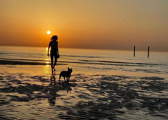 Appartement By Juliz - Location At The & In Center! *